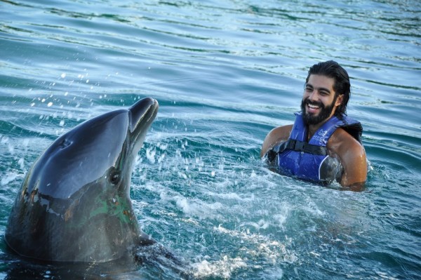 Swimming With Dolphins From Marmaris